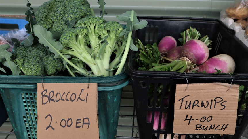 Two labelled shopping baskets with broccoli and turnips inside.