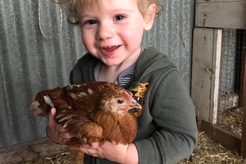 A young boy holds a hen.