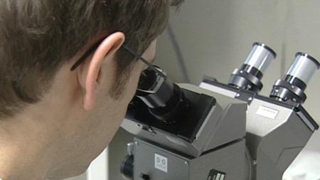 A scientist looking into a microscope.