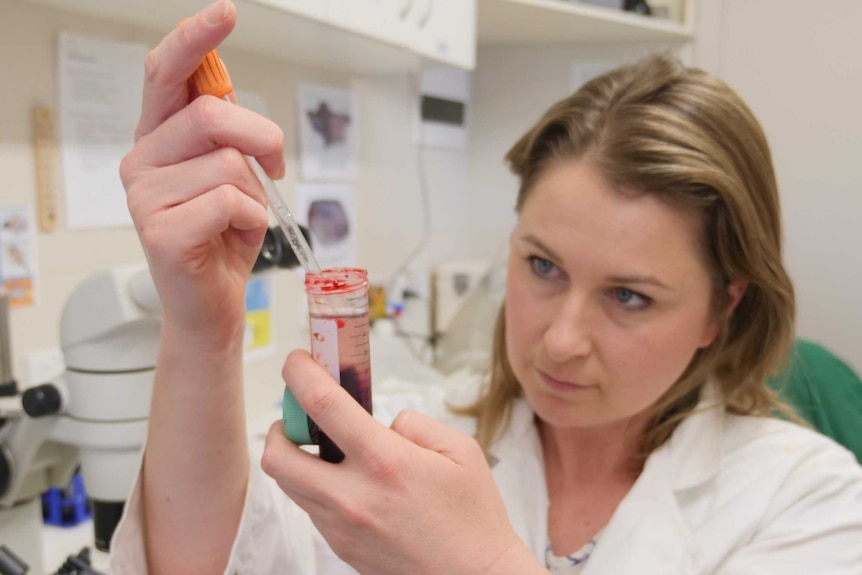 Woman on right in laboratory holding up vial of blood and pipette