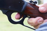 Close-up of rifle trigger.