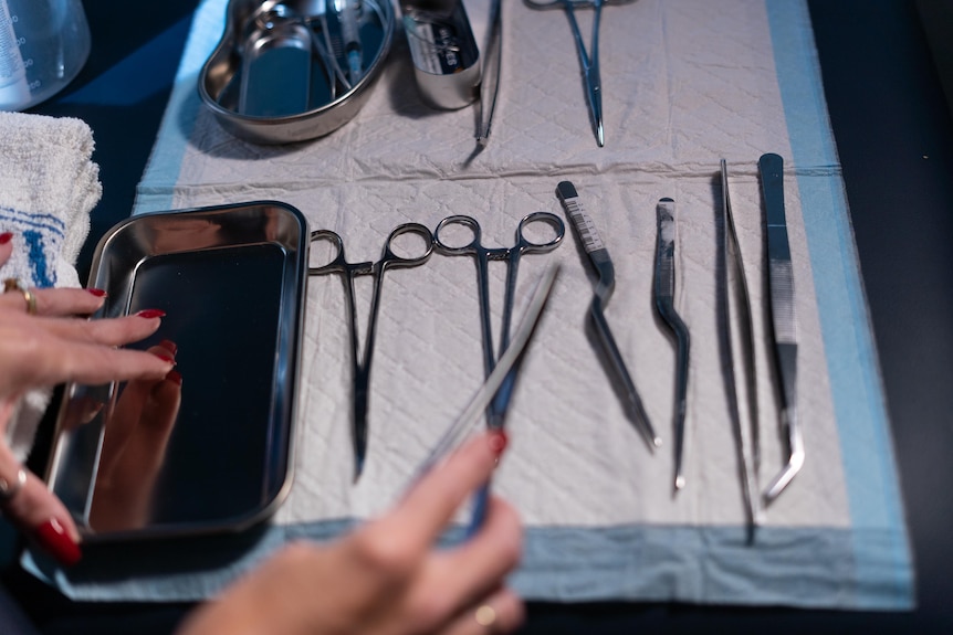 A woman with painted red nails handles a surgical implement on a table with scissors and other tools laying on a surgical mat