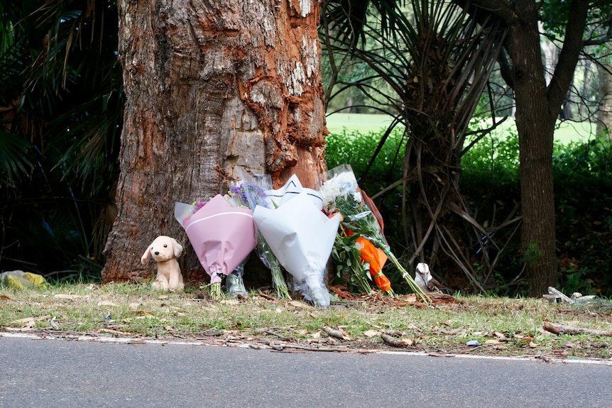flowers, a stuffed animals left at the site in Bayview on sydney's northern beaches after a crashed into a pole and a teen died
