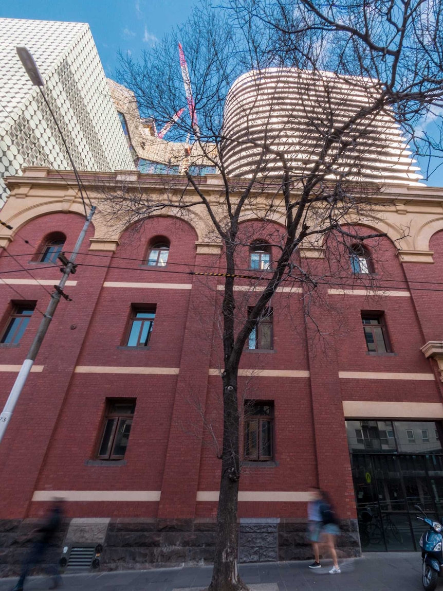 A tree grows in front of a three-storey red-brick building in Carlton.