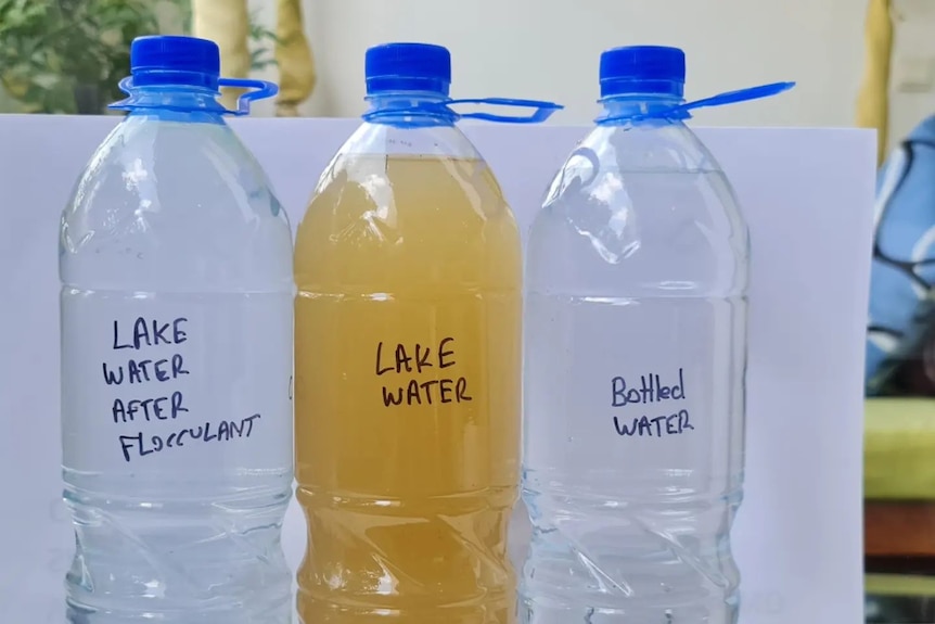 Three water bottles side by side, the lake water is brown and purified water is clear.