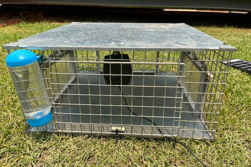 Empty metal wire cage with water bottle on grass.