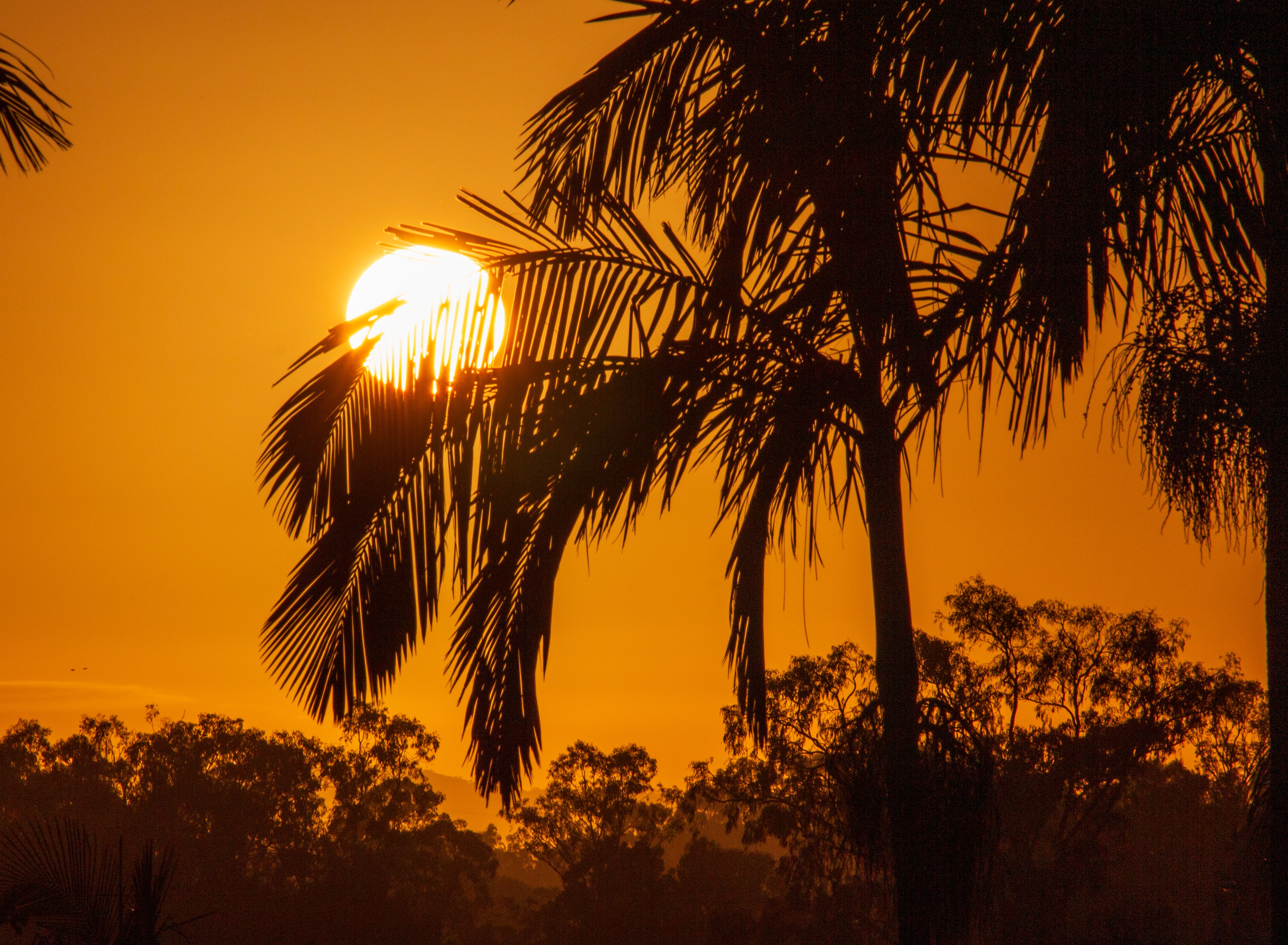 f99766528035355917605786374de050?impolicy=wcms_crop_resize&cropH=2881&cropW=4322&xPos=0&yPos=0&width=862&height=575