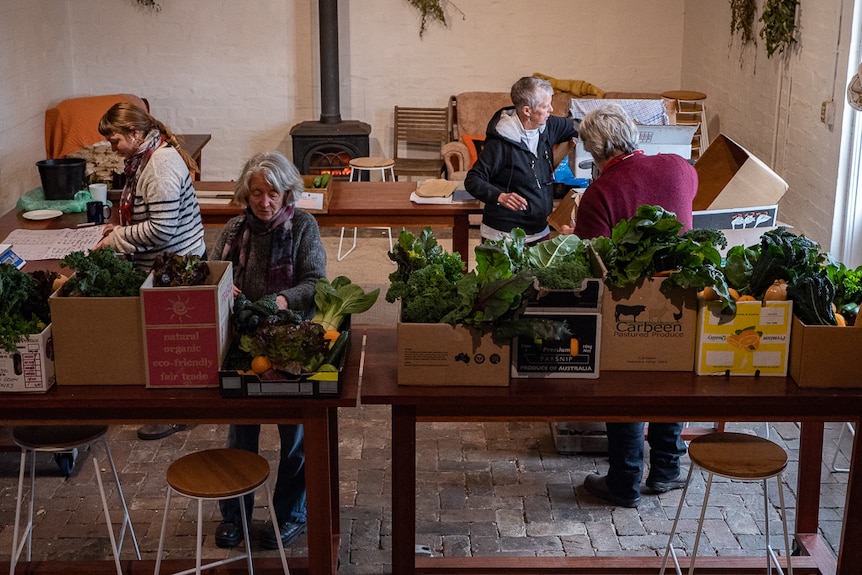 People packing boxes of fruit and vegetables.