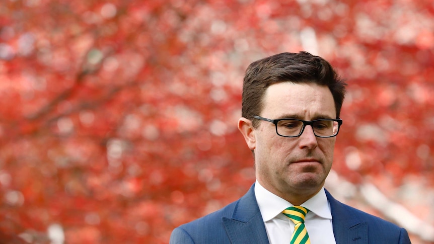 David Littleproud looks to the ground, standing in front of a tree with vibrant red leaves