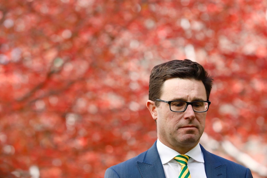 David Littleproud looks to the ground, standing in front of a tree with vibrant red leaves