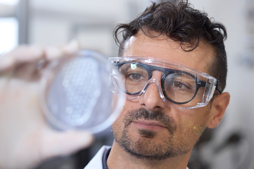 A man wearing safety goggles over glasses holds up a petri dish with a small plastic looking patch inside.