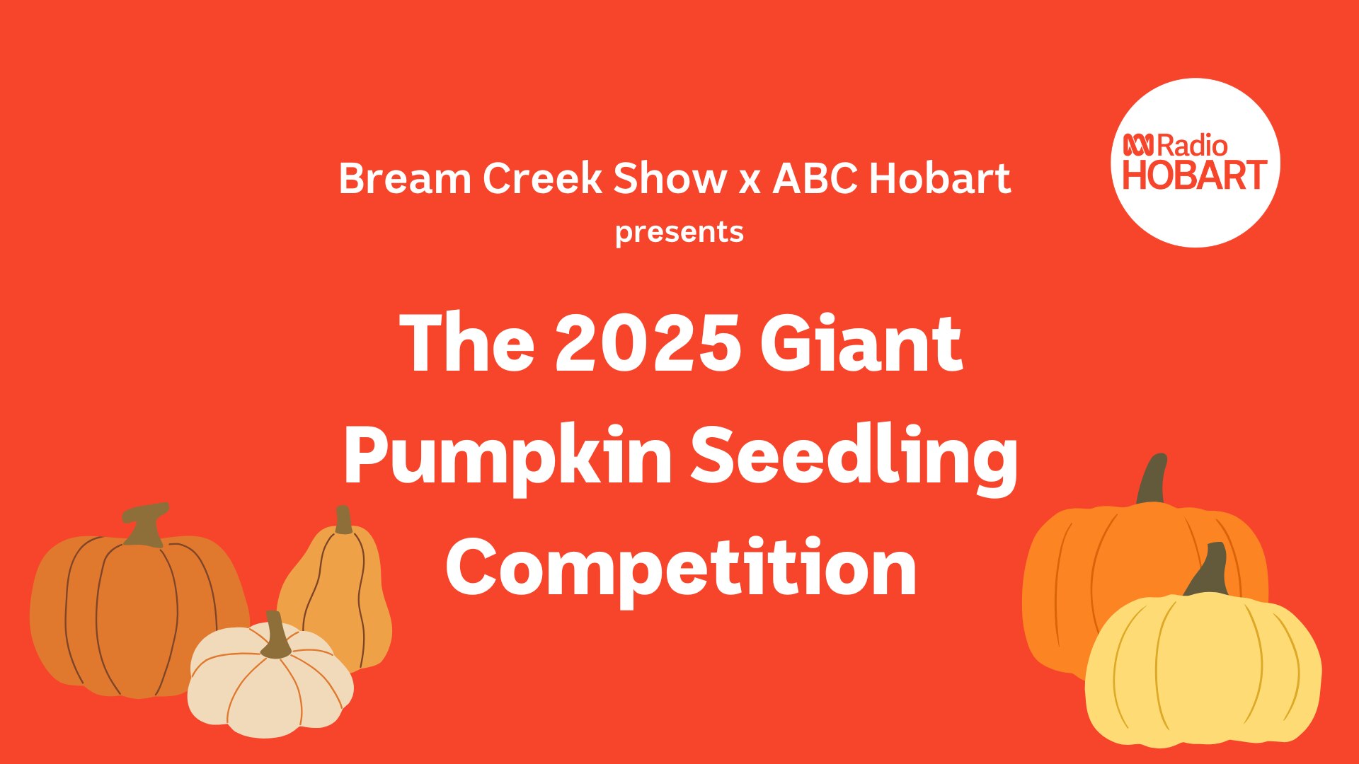 Red background with white texts and graphics of pumpkins