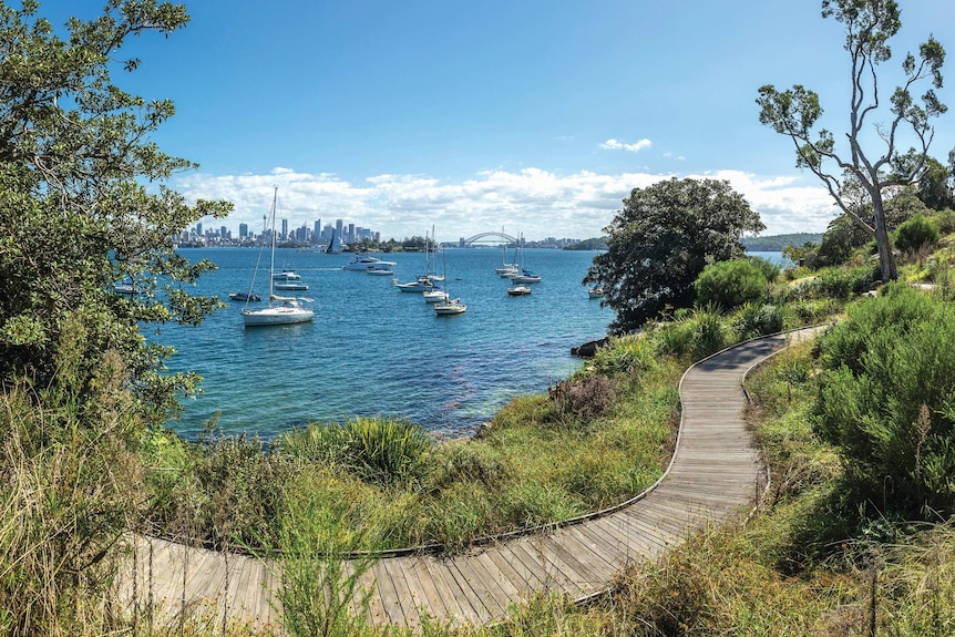 Hermitage Foreshore Walk in Vaucluse