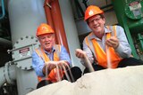 After 16 years, Queensland's youngest mill is now a full production sugar factory