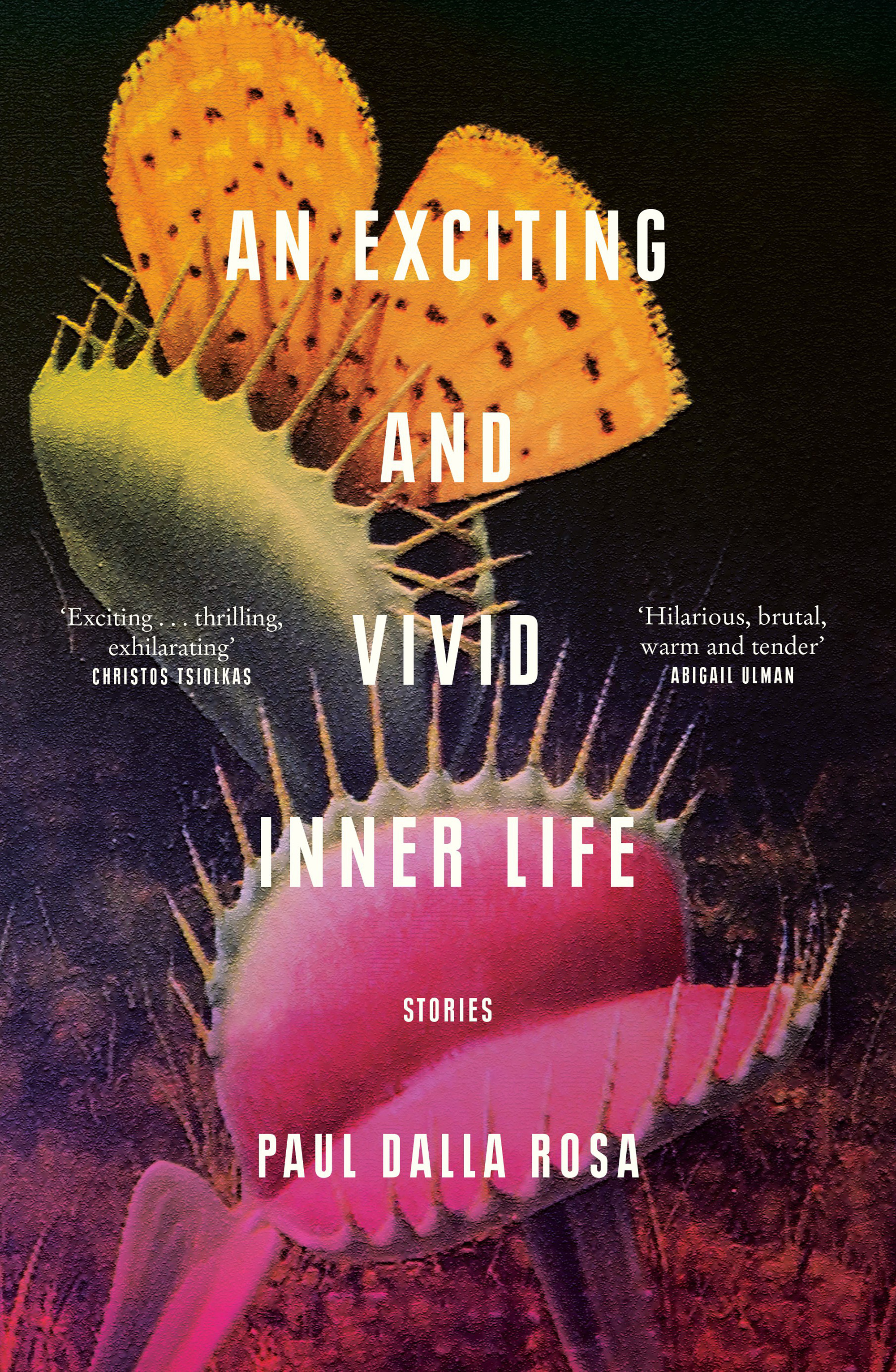 Cover of An Exciting and Vivid Inner Life by Paul Dalla Rosa featuring a venus flytrap