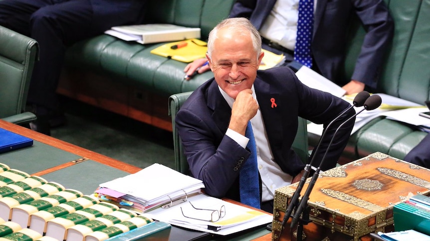 PM Malcolm Turnbull smiling during Question Time.