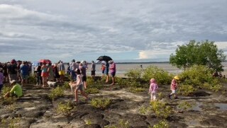 Darwinites gather to protest planned Nightcliff Island
