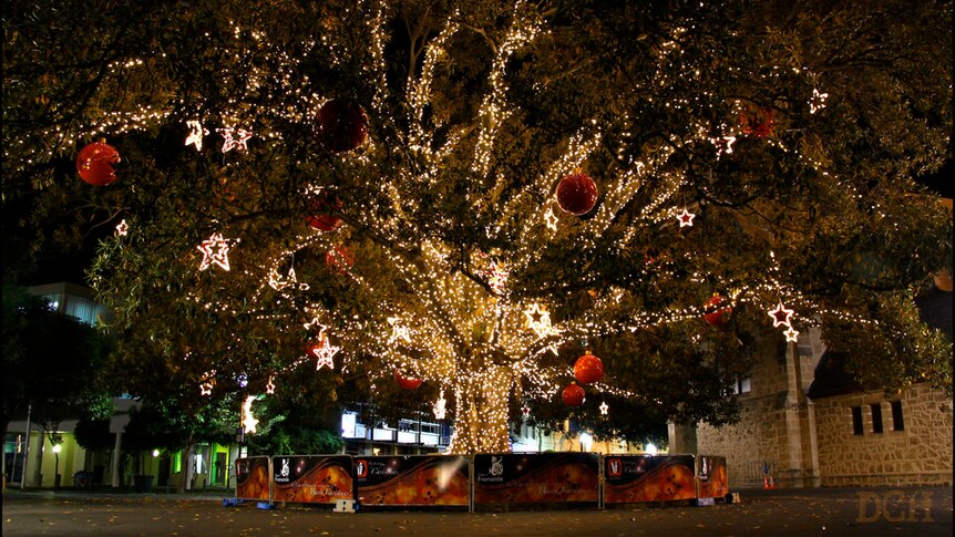 The Fremantle Christmas tree in 2011