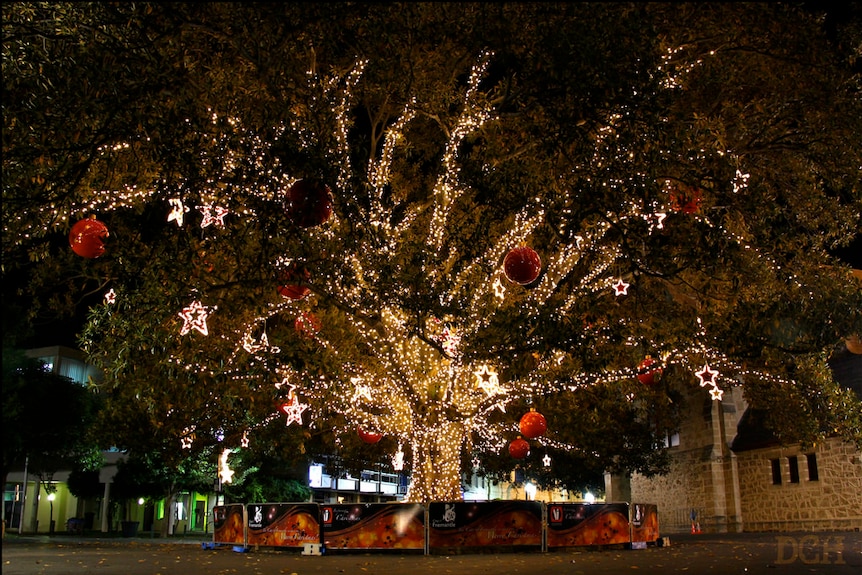 The Fremantle Christmas tree in 2011