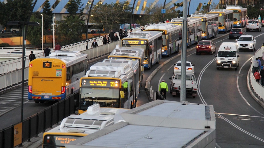 Buses queue at peak hour