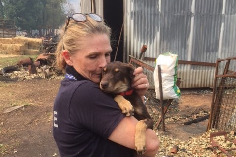 Walwa Bush Nursing Centre CEO Sandi Grieve holding a dog that was burnt in the fires.