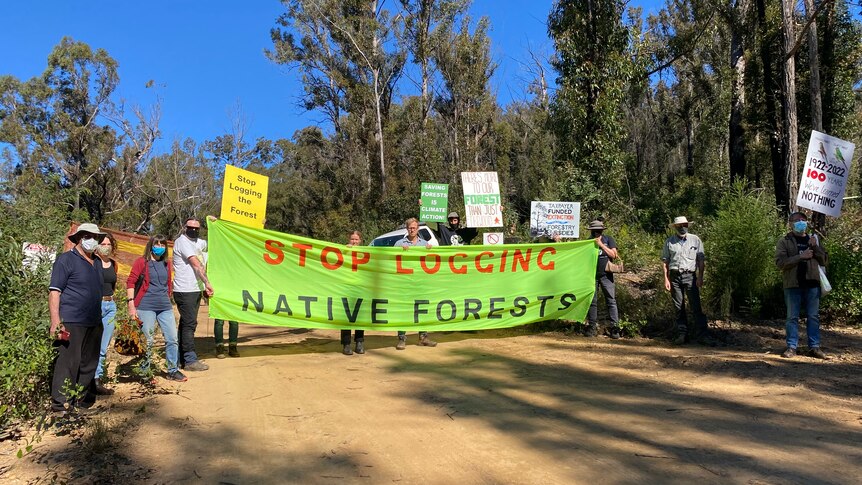 A group protesting in the forest.