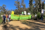 A group protesting in the forest.