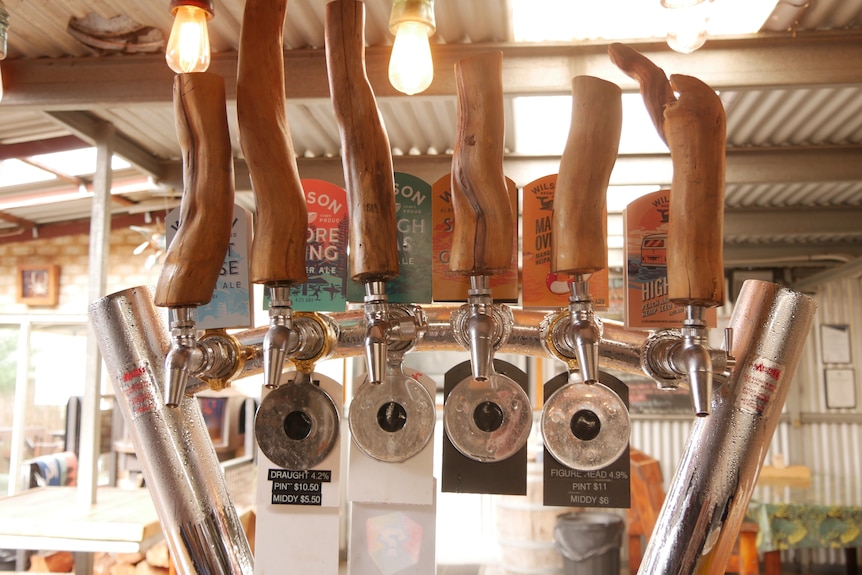 Taps of beer at a bar