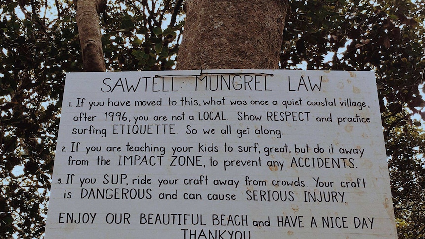 The hand-written Sawtell Mungrel Law sign hanging off a tree on the path to the beach.