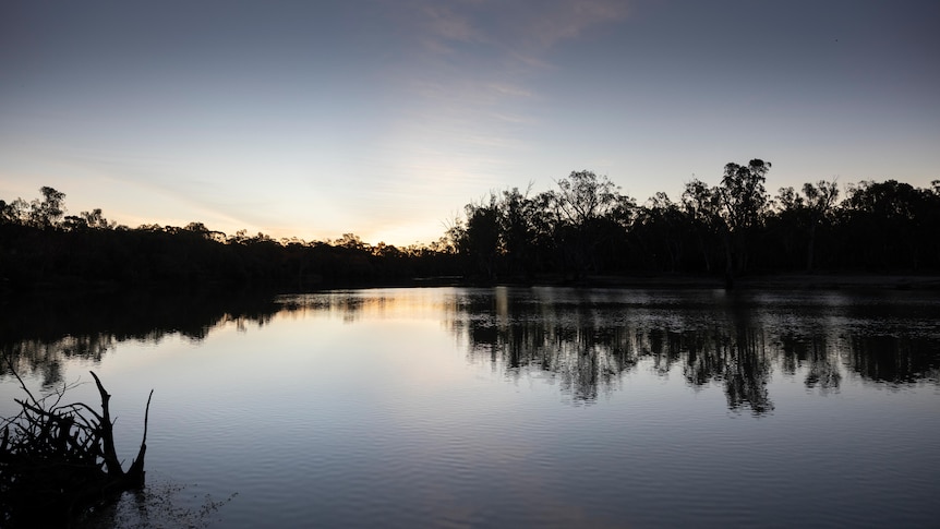 a body of water stretches into the frame toward a setting sun, with trees on either side