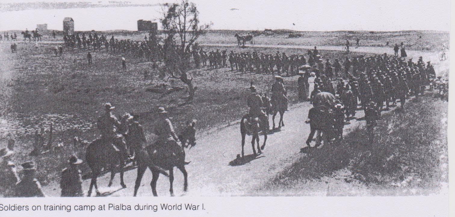 A black and white picture of soldiers guiding a herd of horses towards a training camp.