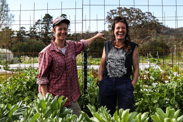 Sas Allardice and Mel Willard stand in front of their market garden on an organic farm.