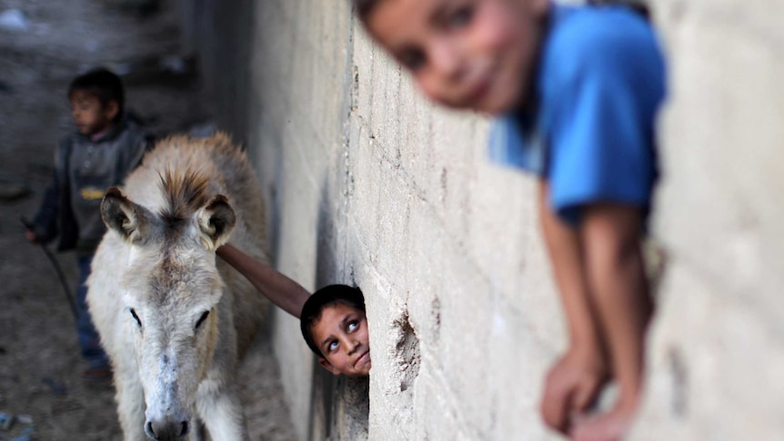 Palestinian refugee children play in Beit Lahia.