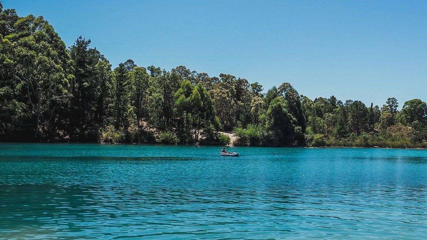 A picturesque, blue lake surrounded by native vegetation