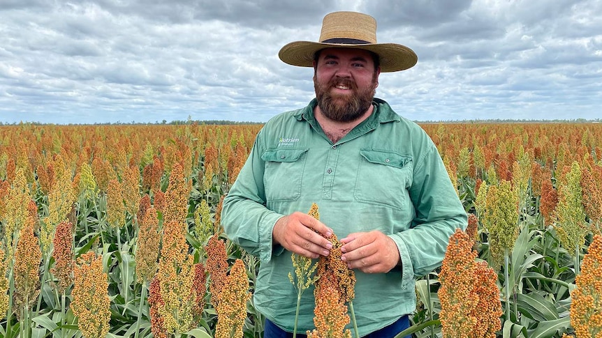 A man smiles for a photo wearing a wide-brimmed hat and green shirt in a field of sorghum.