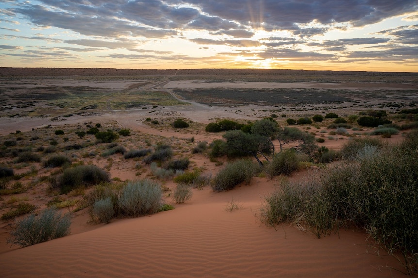 Sunset over sand dune