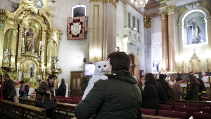 Cat attends church