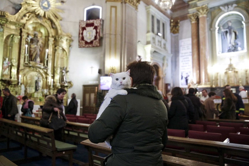 Cat attends church