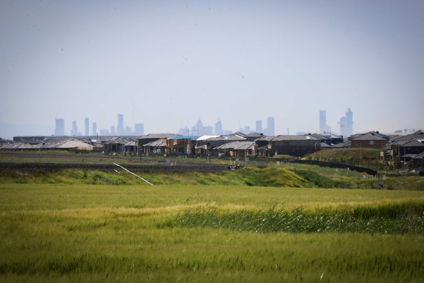 Green pasture in the foreground with a hosing development and Melbourne's skyline in the background.