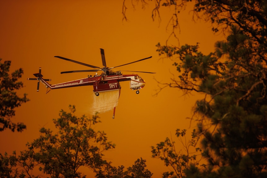 A helicopter drops water on a stand of trees enveloped in smoke