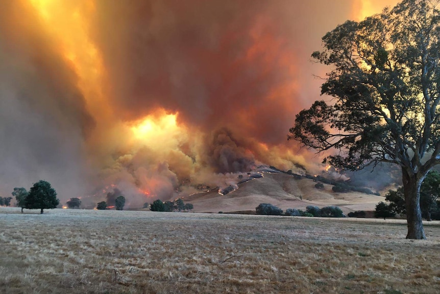 A hill in the distance burns is on fire and smoke and a red sky is seen above it.