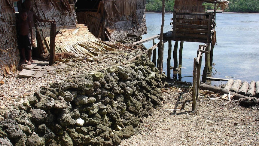 A photo of an island shoreline with a wooden prop to keep the island above sea level.