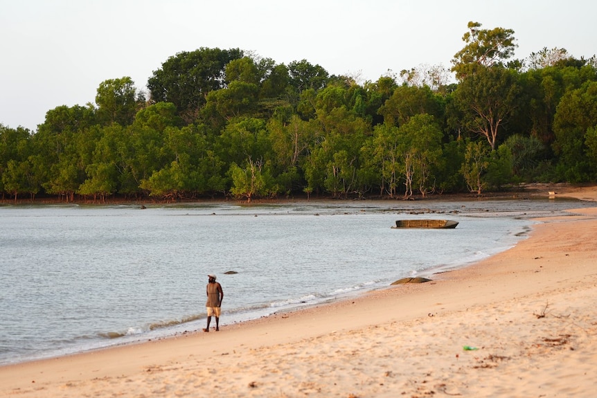 A man walks on a sandy beach with trees in the background