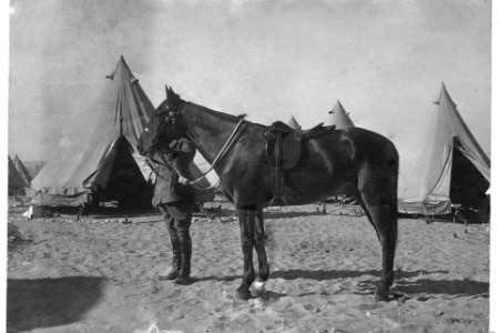 B&W photo of a horse standing with a war general.