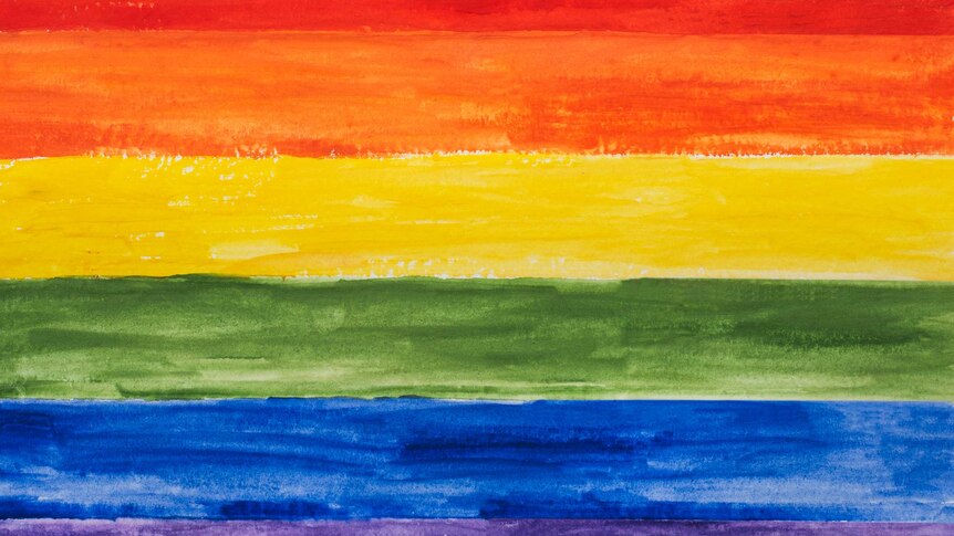 A painted version of the Pride flag (rainbow colours).