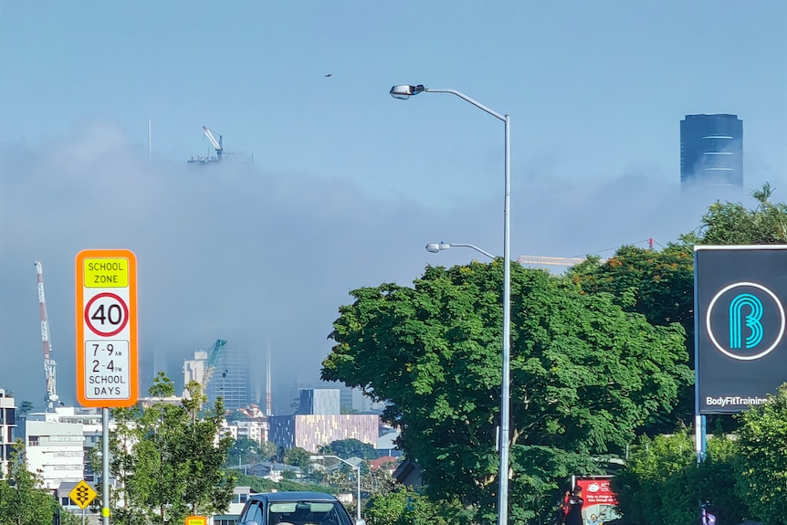 The tall building of the CBD swallowed by fog, with visible trees and cars in the foreground. 