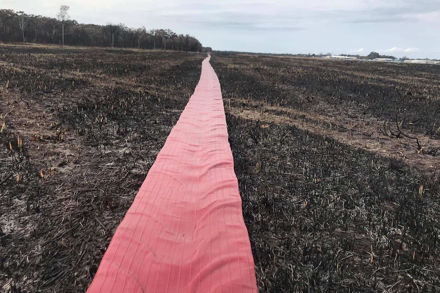 A section of the hose being used to flood a fireground at Port Macquarie.