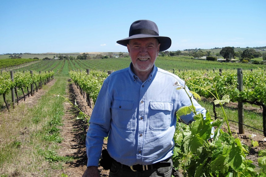 Australia Day Honours recipient Peter Hayes standing amongst vines