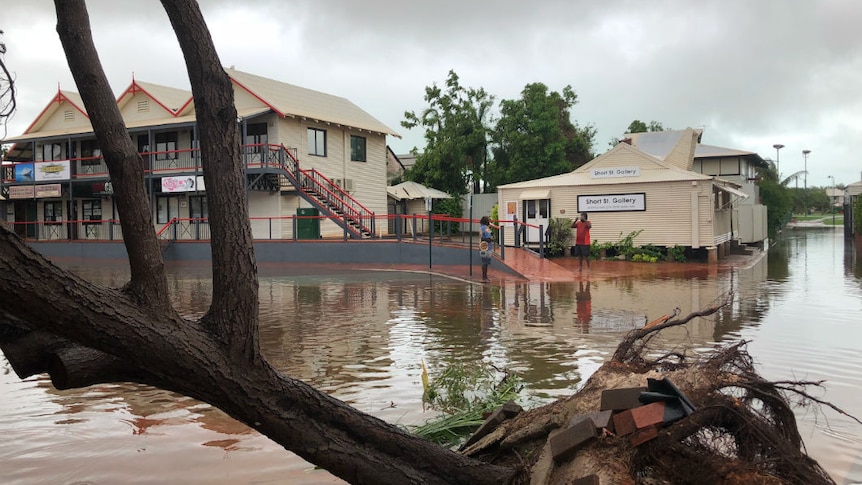 An uprooted tree in the foreground, with floodwater in the street and buildings in the background.