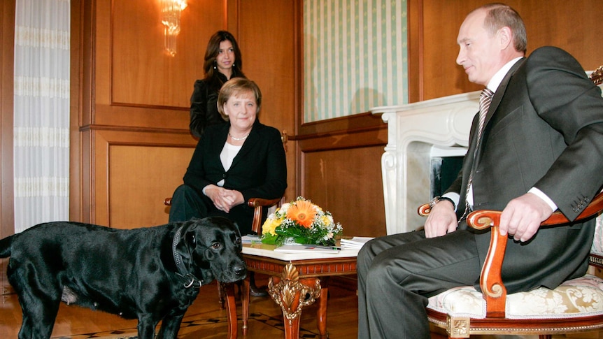 German chancellor Angela Merkel and Russian President Vladimir Putin sit in chairs in front of a black dog